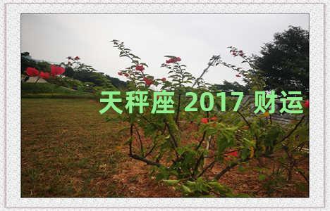 天秤座 2017 财运